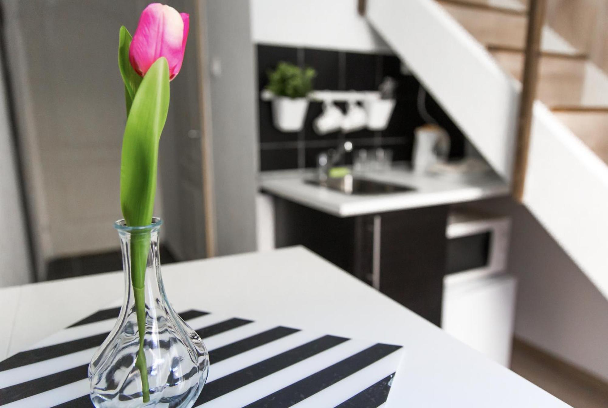 Private Lofts Apartmán